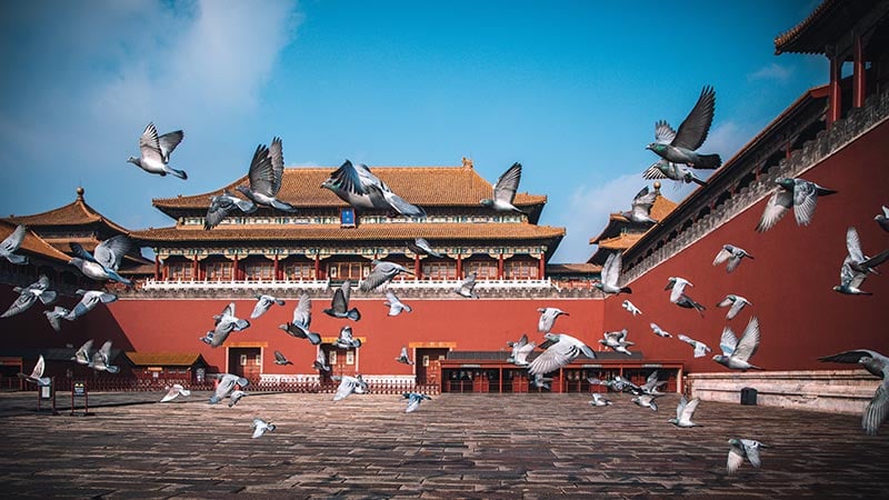 China Attraction Forbidden City Meridian Gate