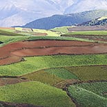 Dongchuan