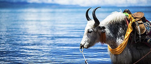 Namtso Lake