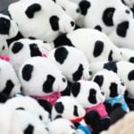 Panda-themed gifts