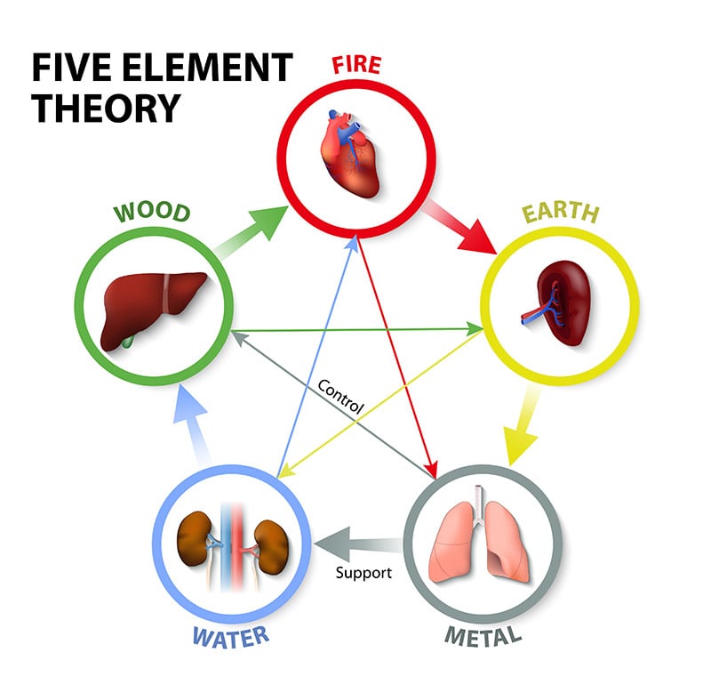 Traditional Chinese Medicine