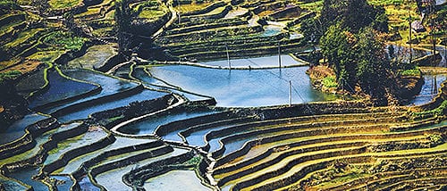 Yuanyang Scenic Area